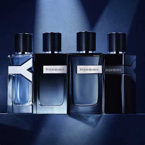 ysl y edp intense notes|YSL Y elixir fragrantica.